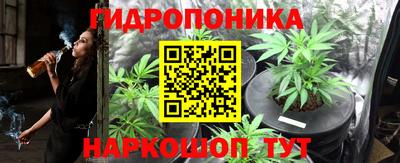 дживик Берёзовский