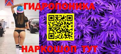 дживик Берёзовский