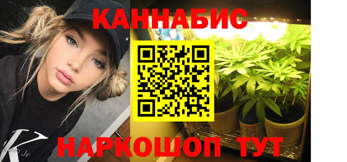 Кингисепп  Каннабис ГИДРОПОН  Вход с VPN  Канабис SATIVA & INDICA  МАРИХУАНА White Widow 